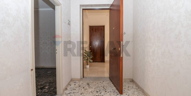 2025090994333-977945-19