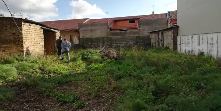 2025091171255-982083-1