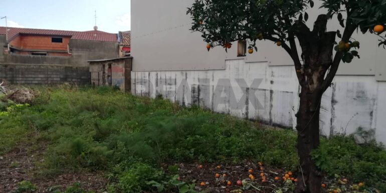 2025091171256-982083-5