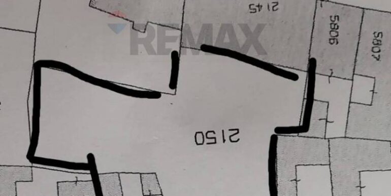 2025091171257-982083-10