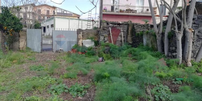 2025091171257-982083-11