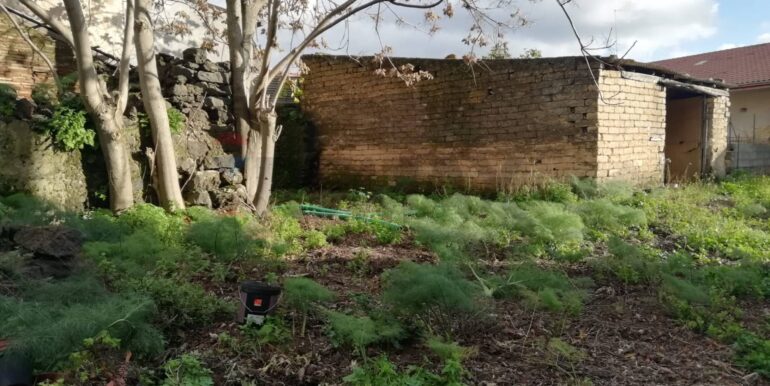 2025091171257-982083-8