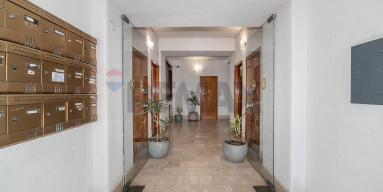 2025091271308-981293-5