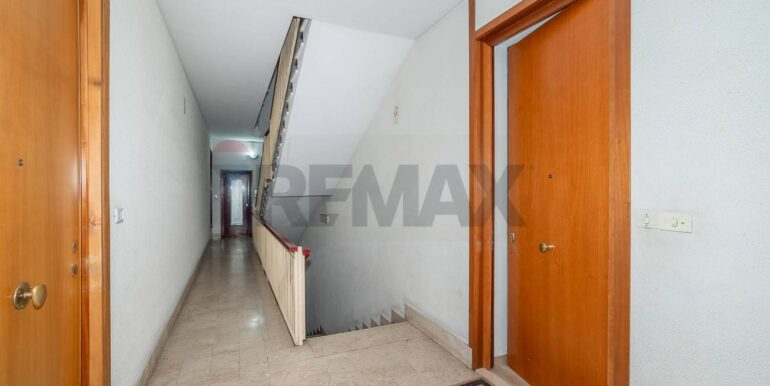 2025091271310-981293-6