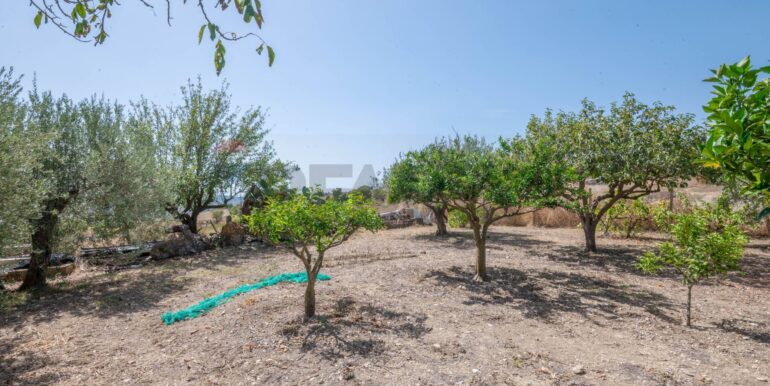 20250915180649-983285-3