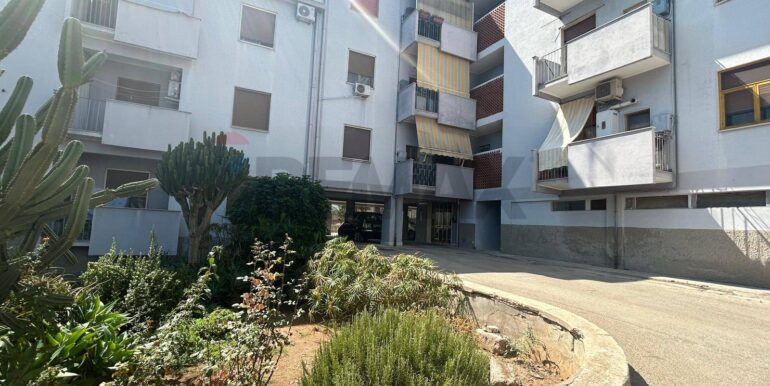 20250915191928-983353-5