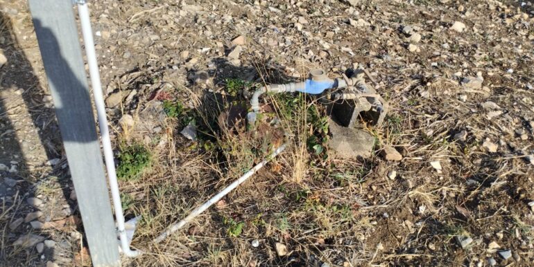 2025091902450-985775-1