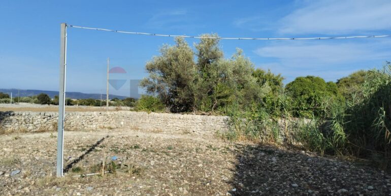 2025091902459-985775-3