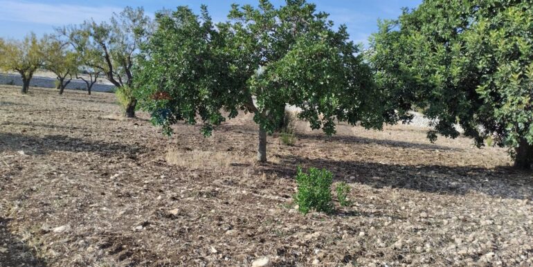 2025091902543-985775-15