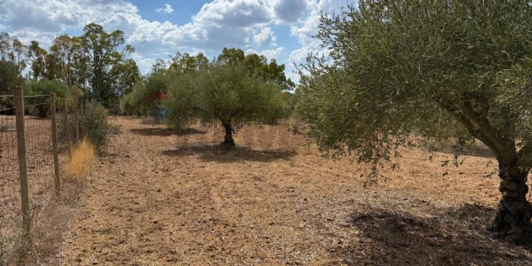 20250919161534-985907-3