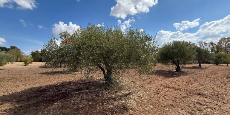 20250919161540-985907-5