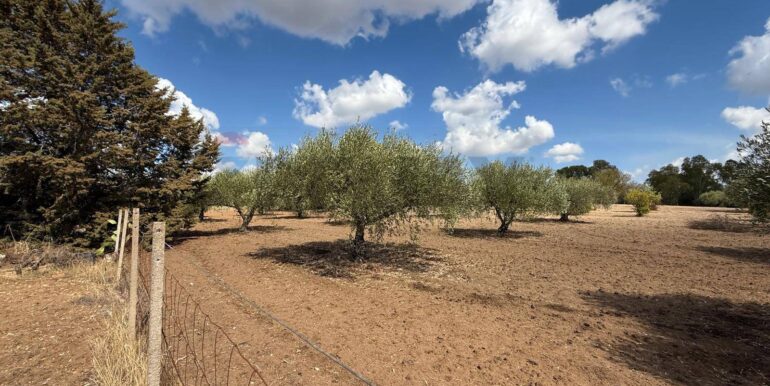 20250919161543-985907-6