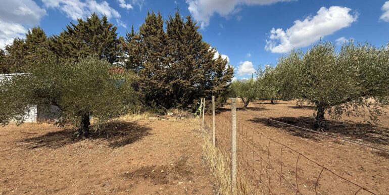 20250919161546-985907-7