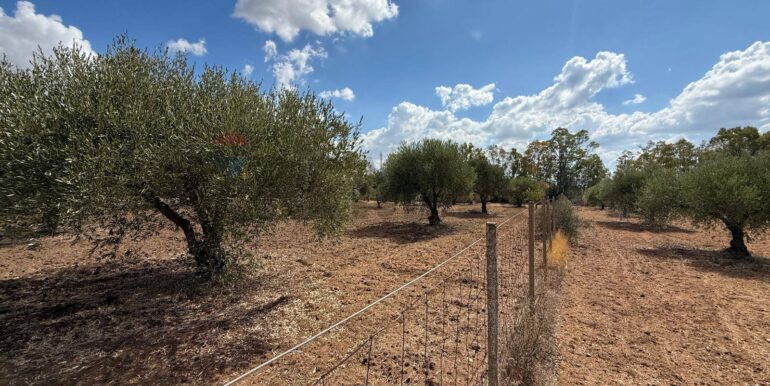 20250919161611-985907-15