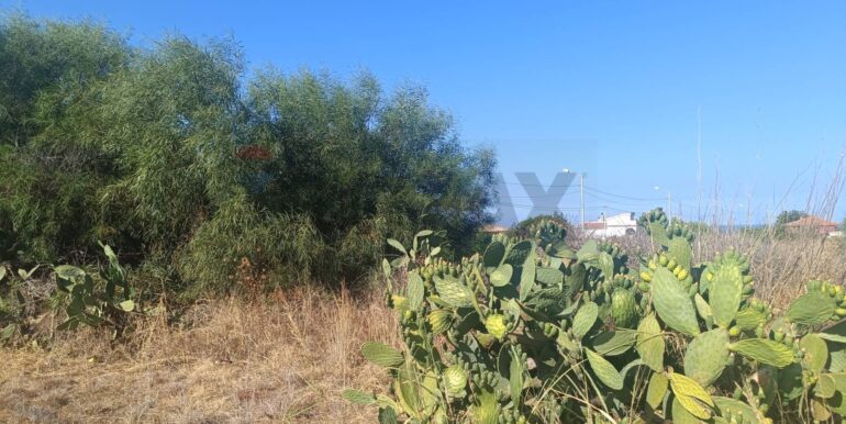 20250923103809-986376-9