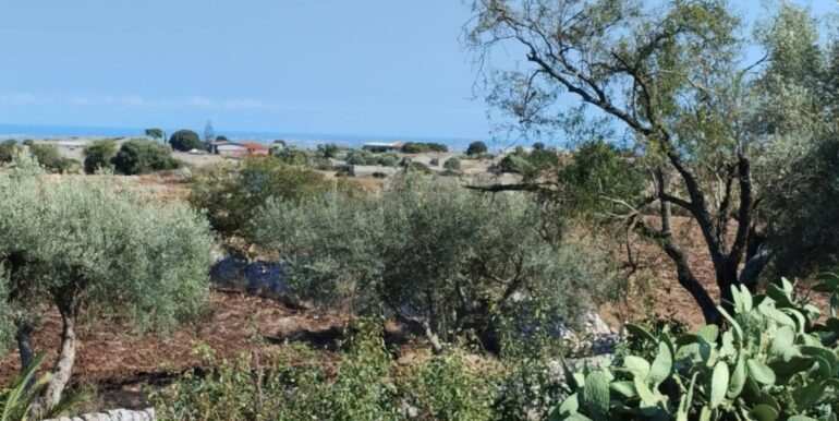 20250923181210-986601-9