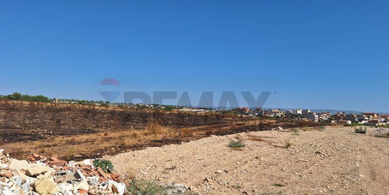 2025092394441-986231-1