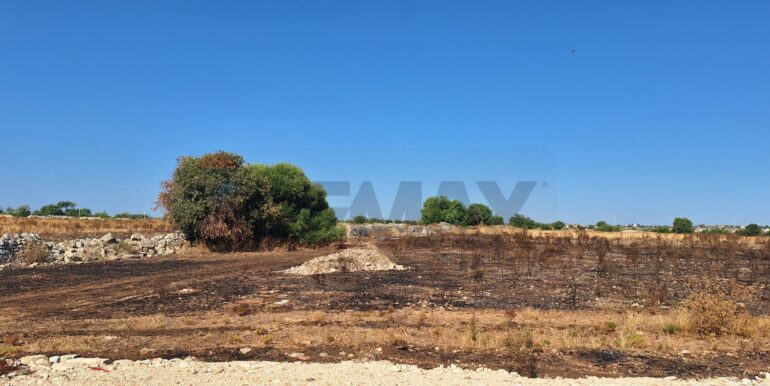 2025092394445-986231-2