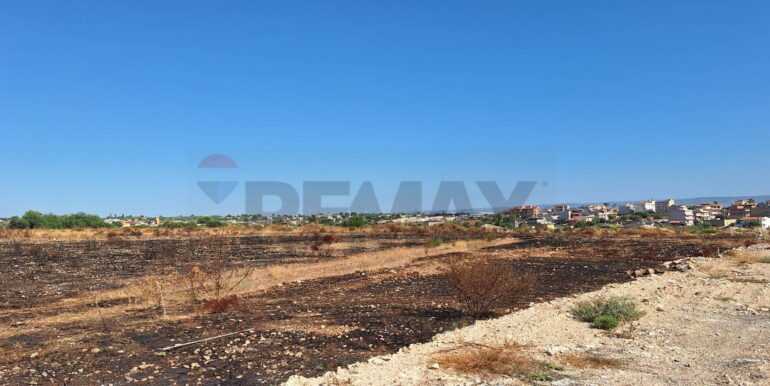 2025092394448-986231-3