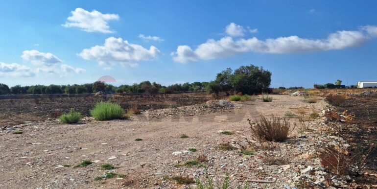 2025092394505-986231-7