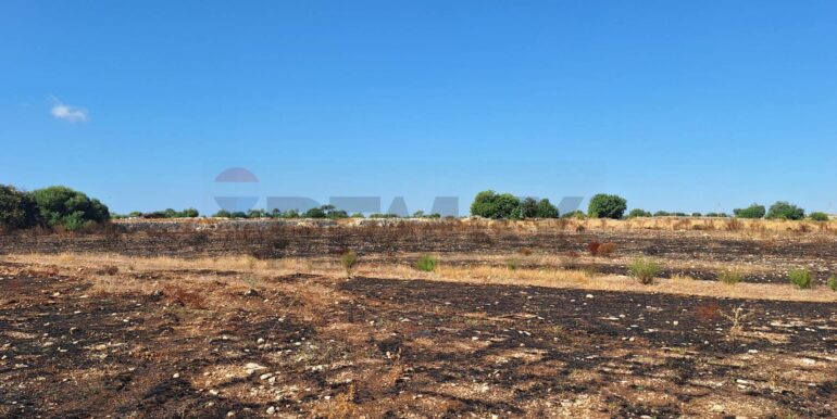 2025092394509-986231-8