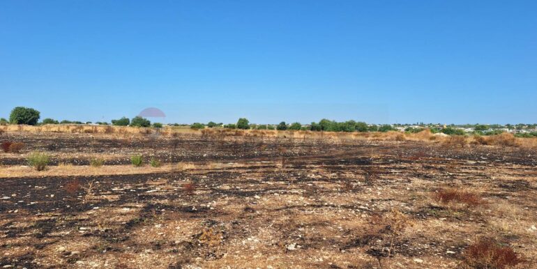 2025092394513-986231-9