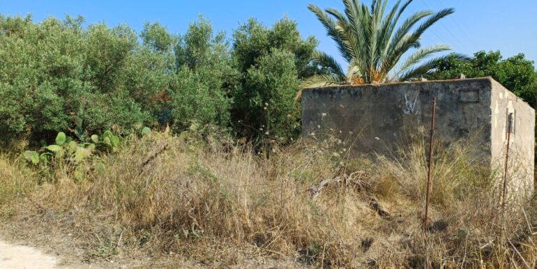 20250925182039-987746-1