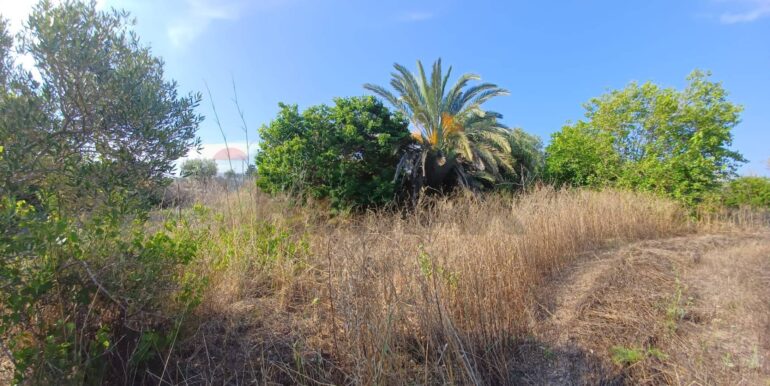 20250925182044-987746-2