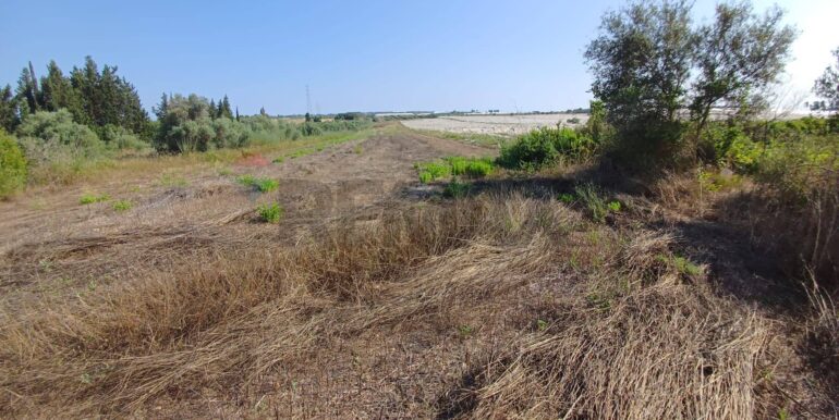 20250925182047-987746-3