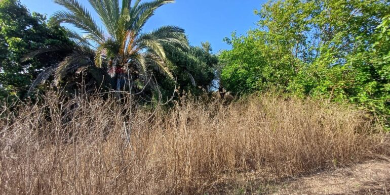 20250925182051-987746-4