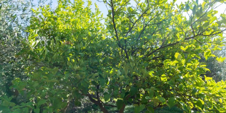 20250926111657-987853-6