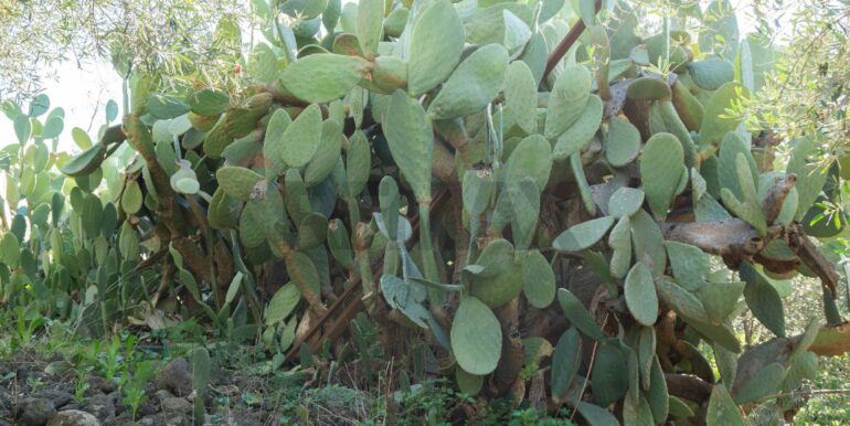 20250926111657-987853-7