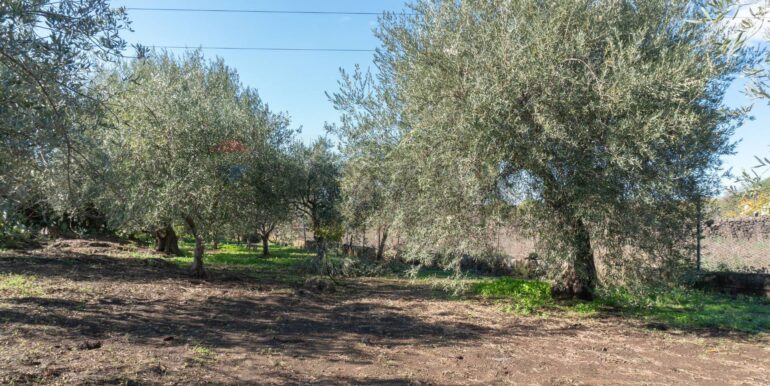 20250926111657-987853-8