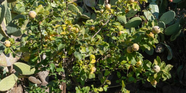 20250926111658-987853-10