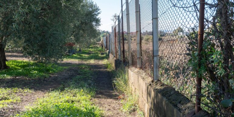 20250926111658-987853-11