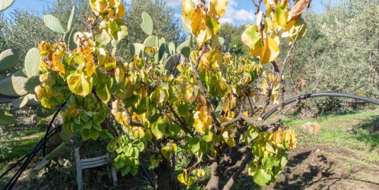 20250926111658-987853-9