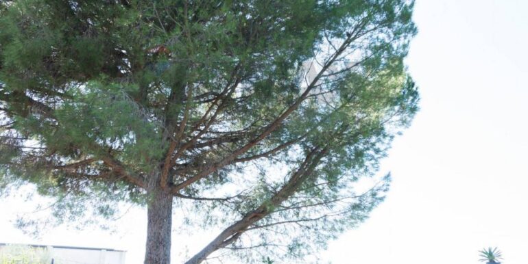 20250926111700-987853-18