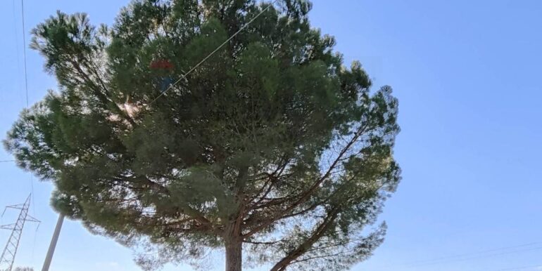 20250926111702-987853-24