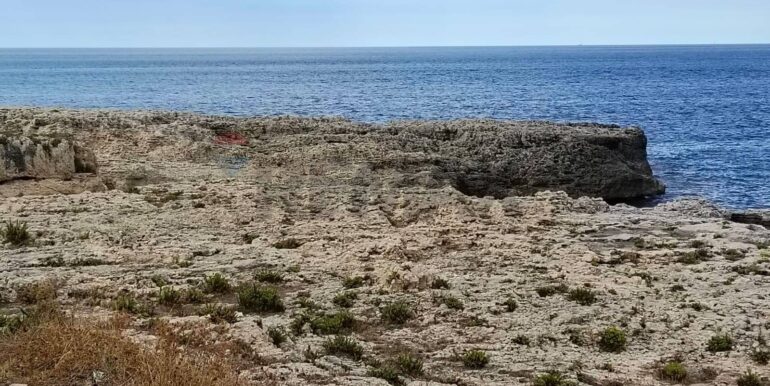 20250928142421-988835-14