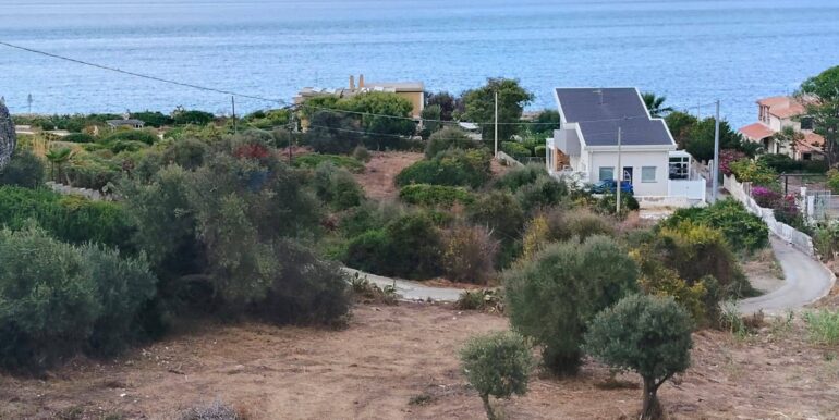 20250928174629-988854-1