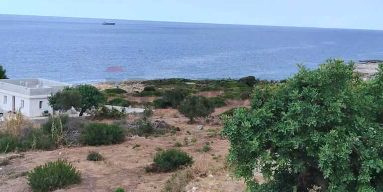 20250928174646-988854-3