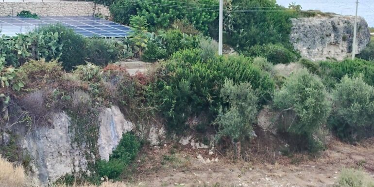 20250928174844-988854-9