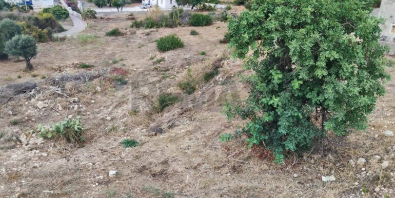 20250928175159-988854-16