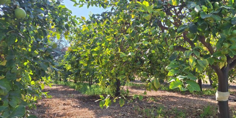 20250929114808-988929-2