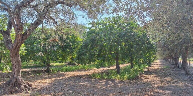 20250929114813-988929-3