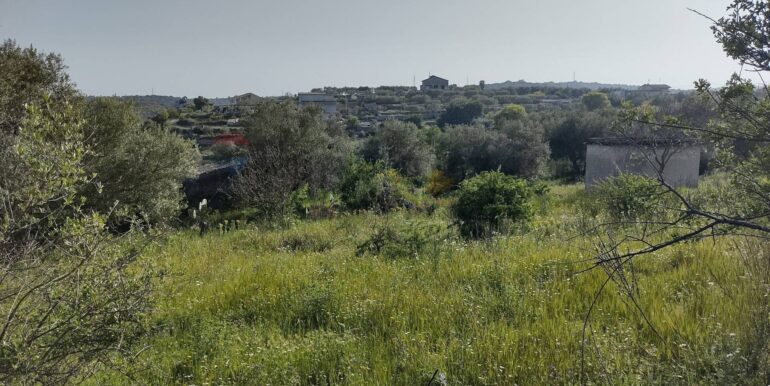 20250929183531-989094-6