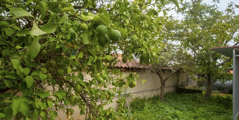 20250929212630-989111-5