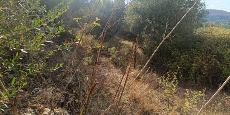 20250930163645-990443-1