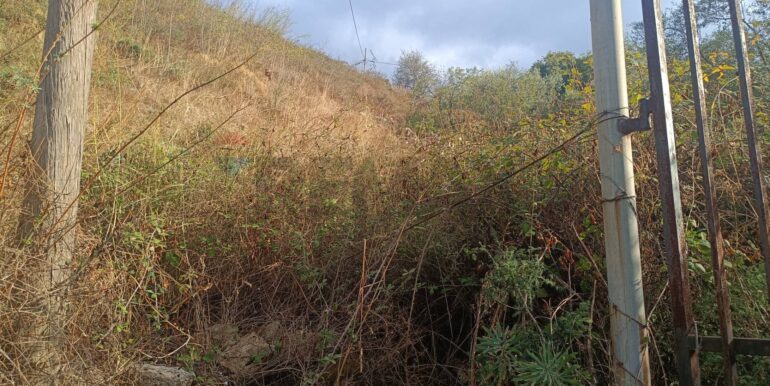 20250930163651-990443-2