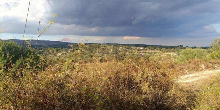 20250930163659-990443-4